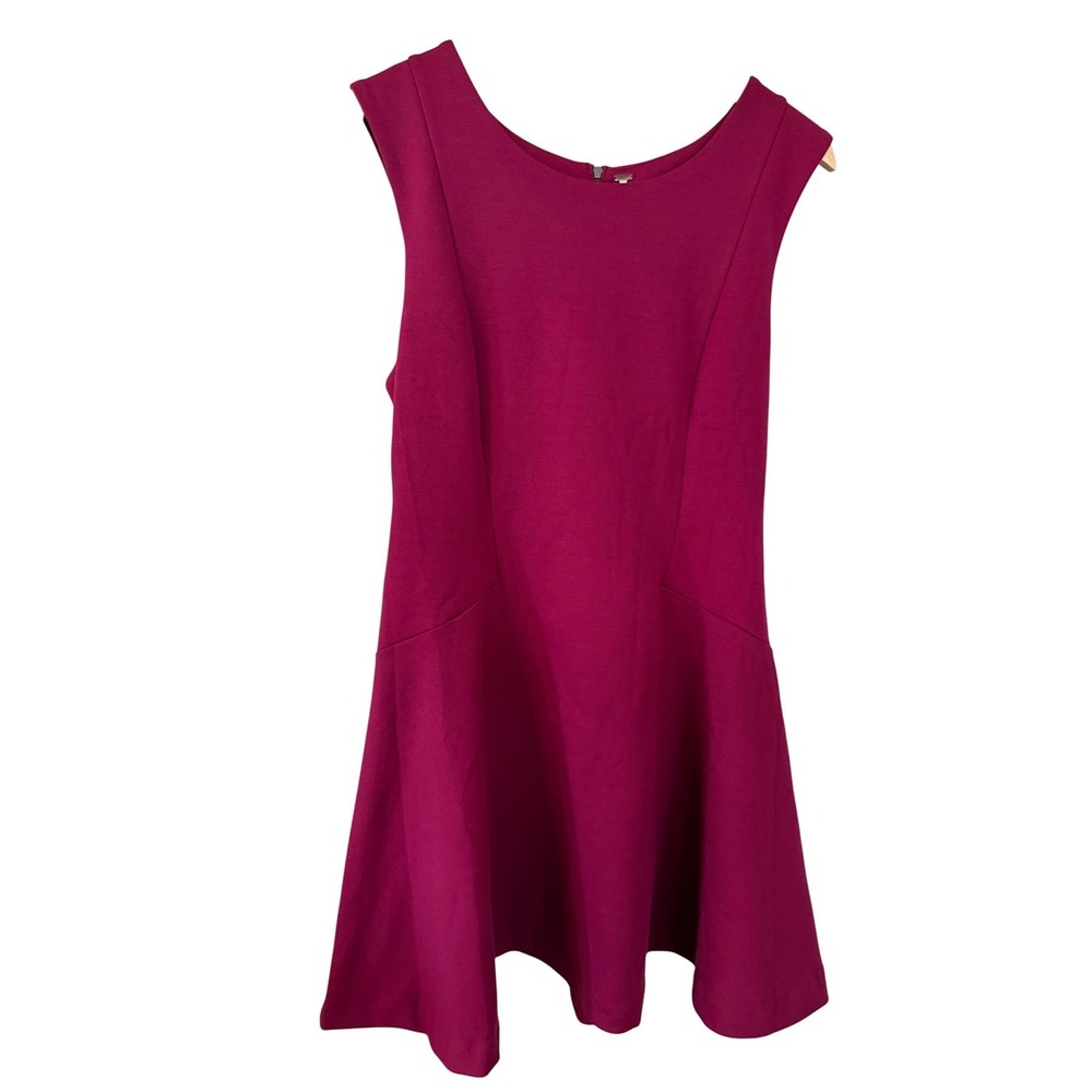 Free People Raspberry Dress‎ Fit & Flare Sleeveless Mini Dress